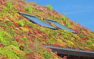 Lower Soothill living roof systems