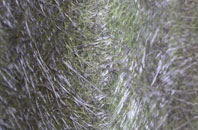 Lower Soothill fibreglass roof work